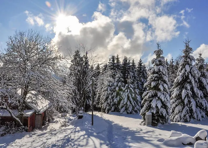 Tatil Evi Awesome In *